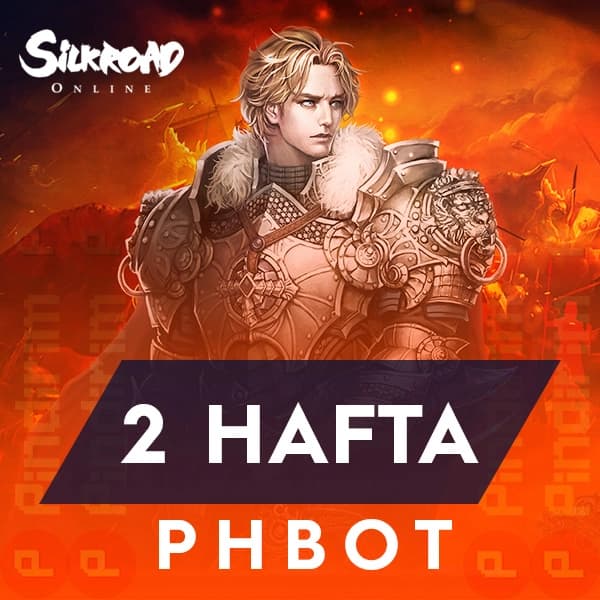 Silkroad phBot 2 Hafta